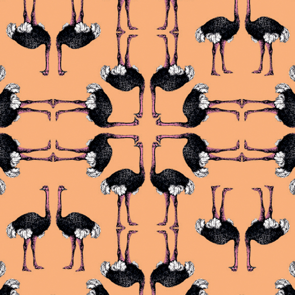 Обои La Tapicera | WP181051