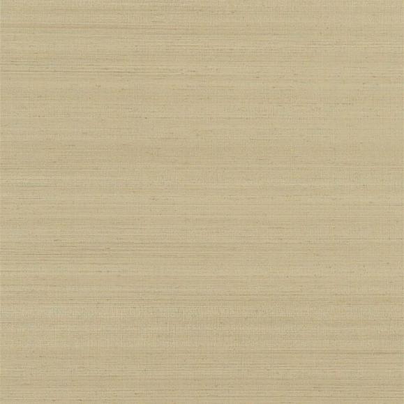 Обои Chinon | pdg1119-04