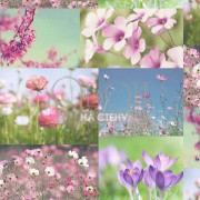 Обои Fusion | 98190