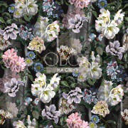 Обои Tulipa Stellata | pdg1038-01