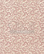 Обои Braquenie | BP205001