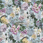 Обои Tulipa Stellata | pdg1038-03