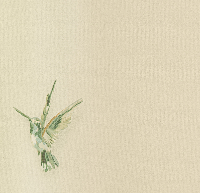 Обои Spectrum Plus | 54356-4