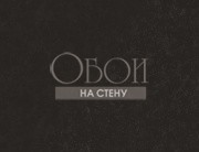 Обои Metal Silk | MS67