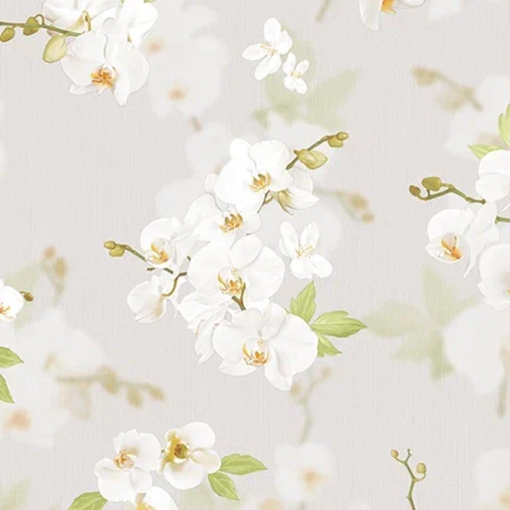 Обои Stromboli | 54342-4