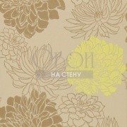 Обои Feature Walls | HOU_30484