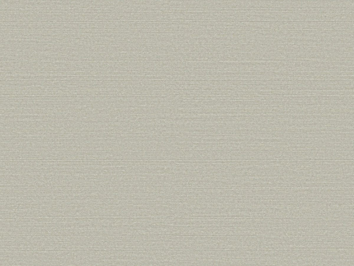 Обои Birds of Paradise | BOP310