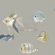 Обои Anthozoa | 111646