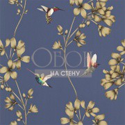 Обои Amazilia | 111059