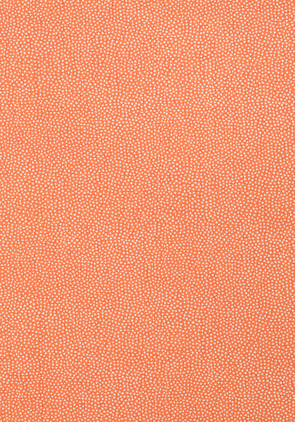 Обои Paramount | T2967