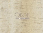 Обои Carl Robinson 15 | cr76506