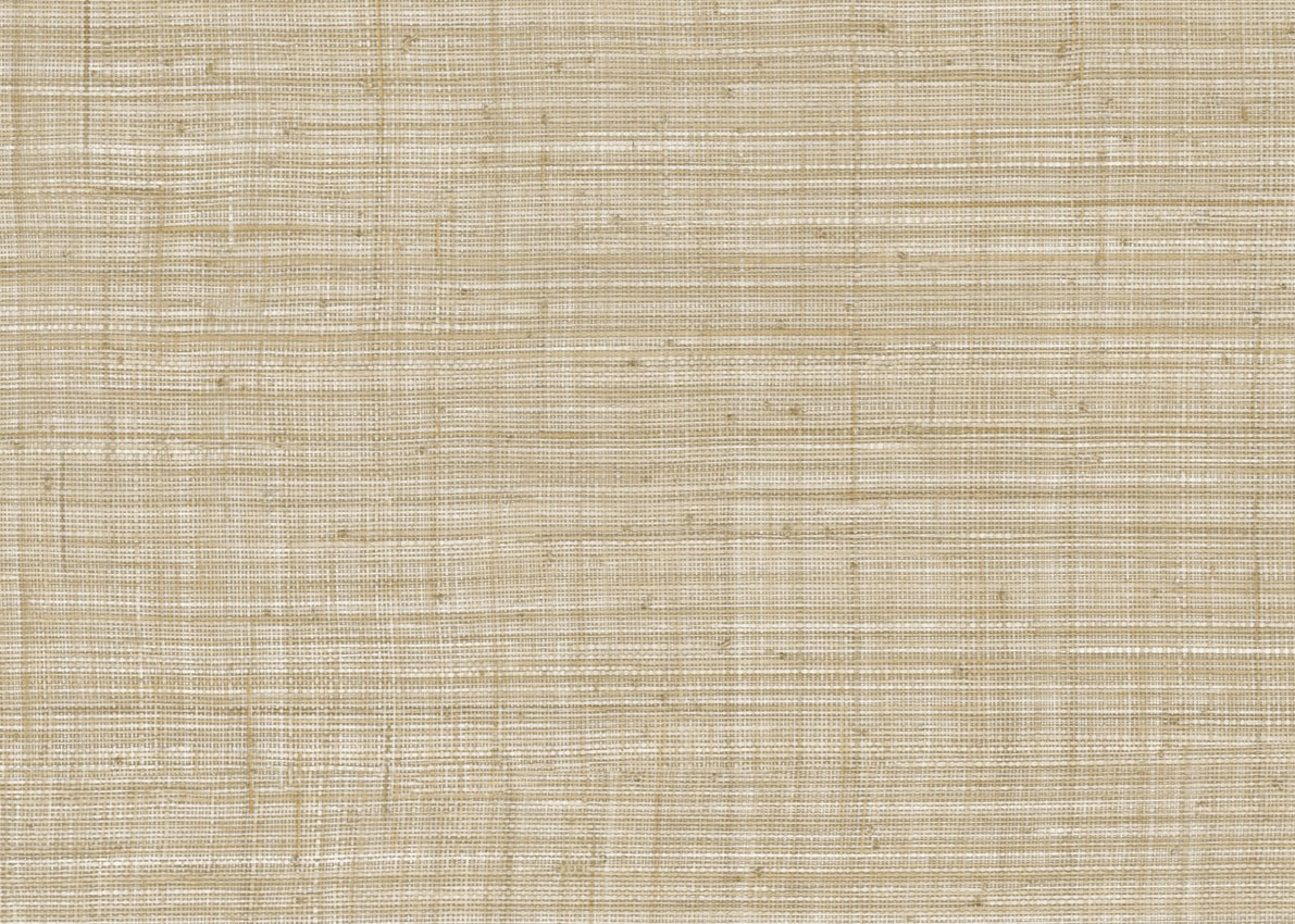 Обои JV800 Tierra | JV6659