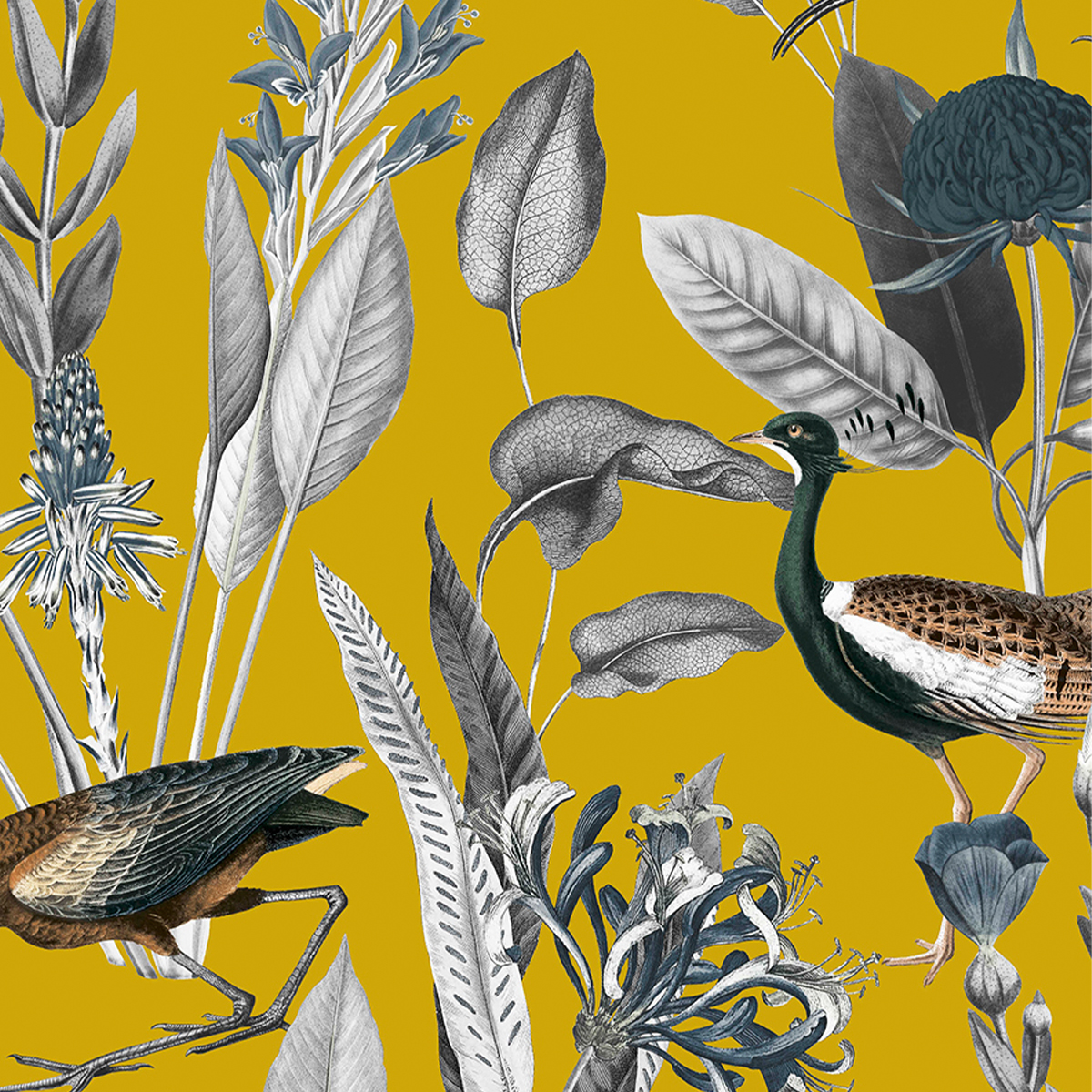 Обои Genesis | 111720