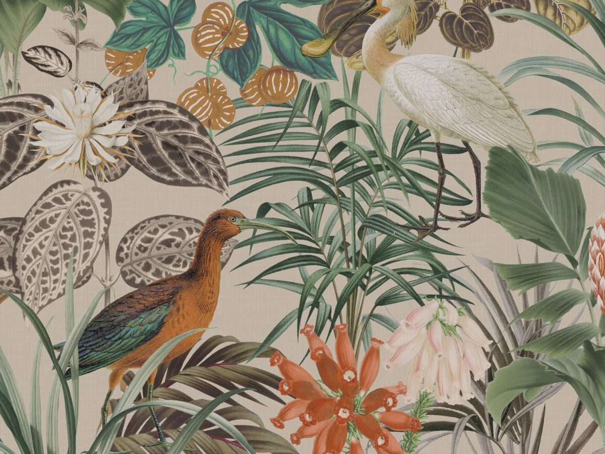 Обои Birds of Paradise | BOP502
