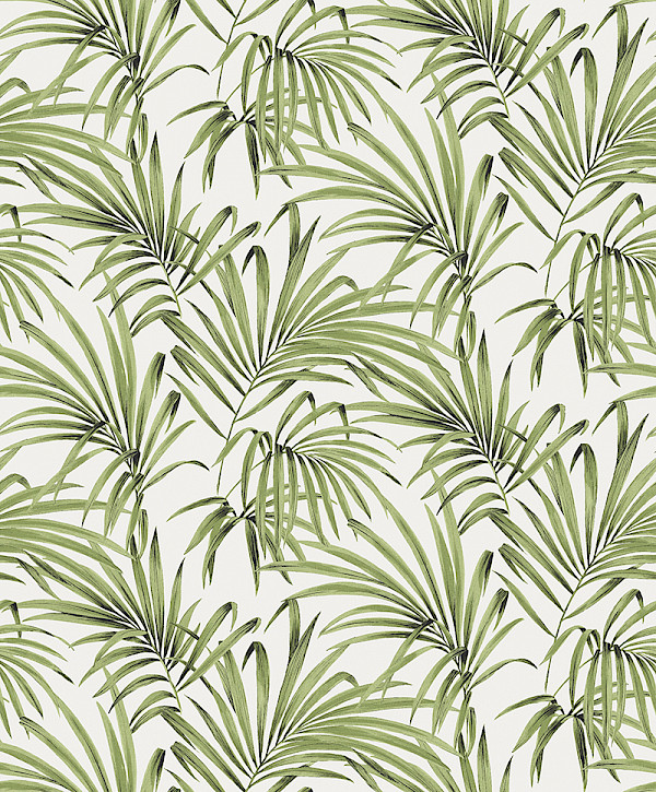 Обои Lotus | lot103