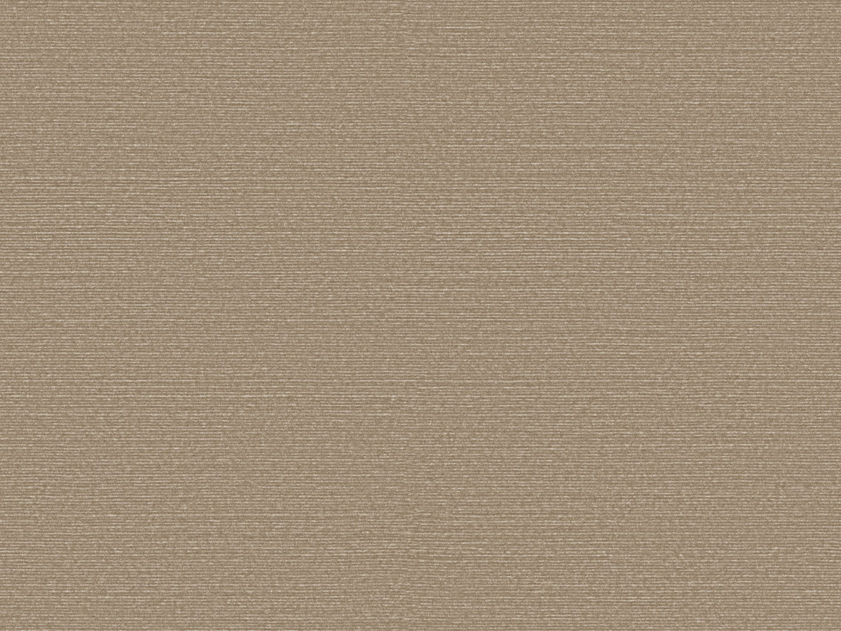 Обои Birds of Paradise | BOP328