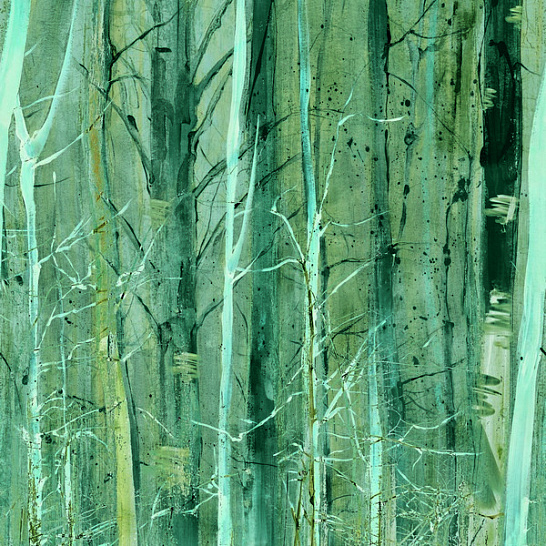 Обои Raw | RWD28