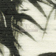 Обои Talamone | VP854 01