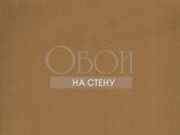 Обои Four Seasons | 516