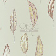 Обои Anthozoa | 111657