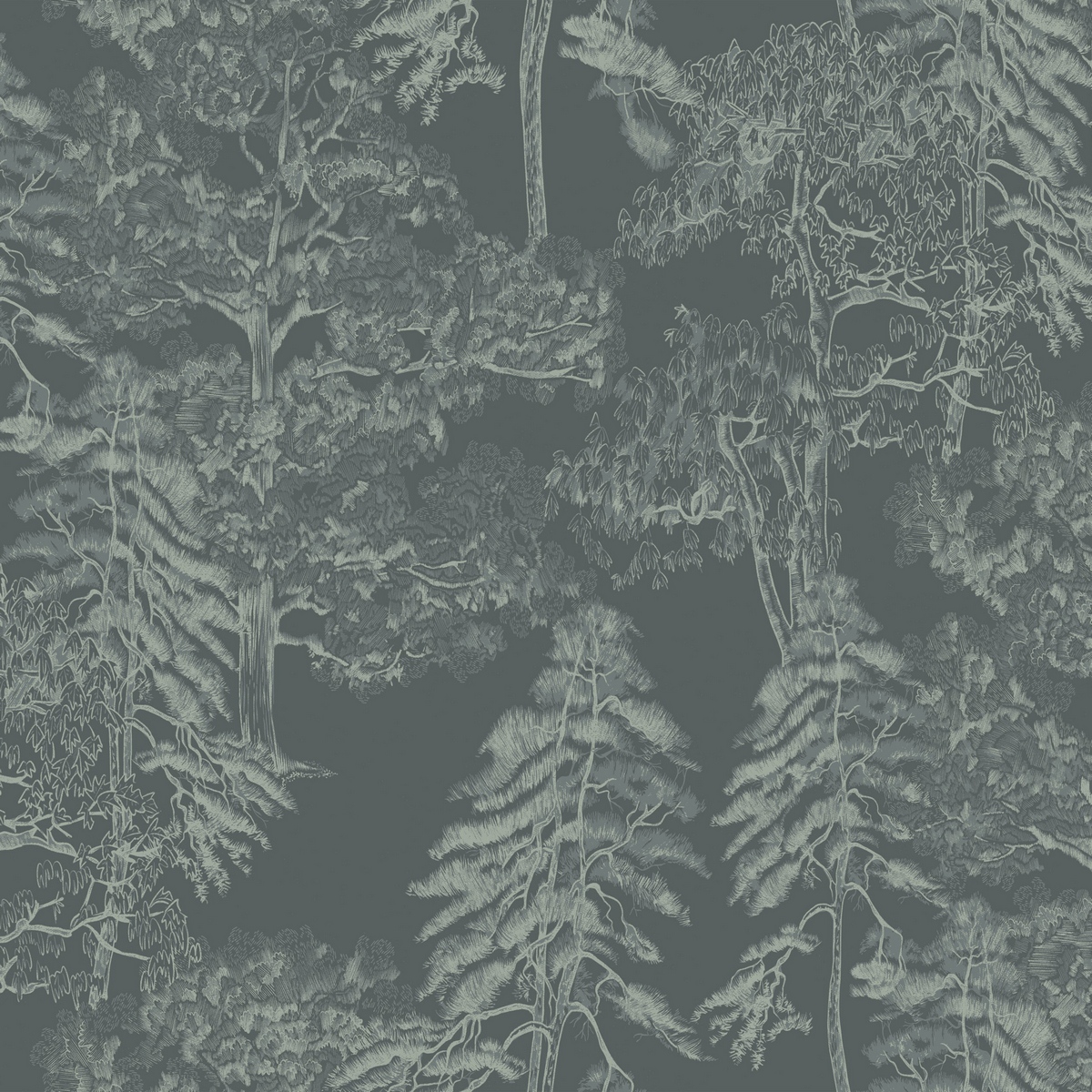 Обои Ambient 4 | Am5008