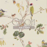 Обои Woodland Walk | 215703