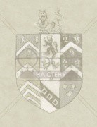 Обои Attic | HS01