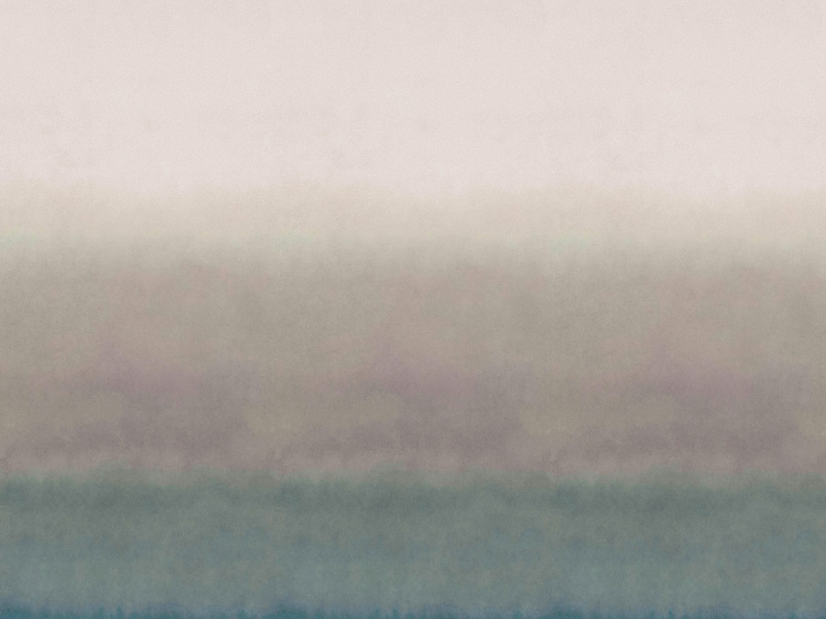 Обои Joy | JOY84