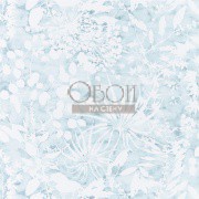 Обои Anthozoa | 111637