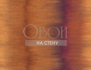 Обои Carl Robinson 9 | cb90305