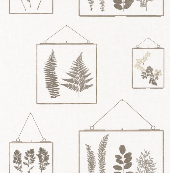 Обои Bistrot d Alice | 100631003