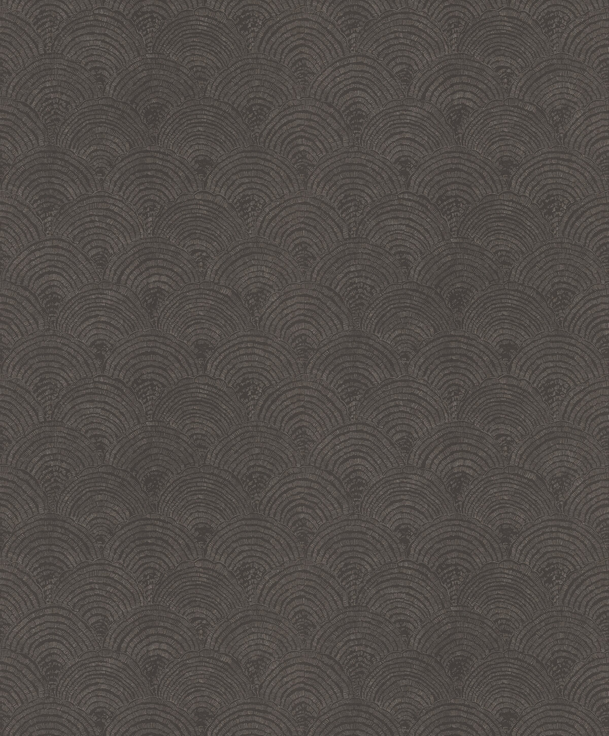 Обои Moana | 300849