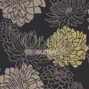 Обои Feature Walls | HOU_30480