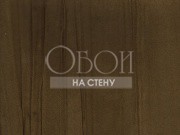 Обои Four Seasons | 717