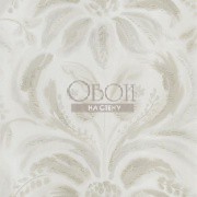 Обои Tulipa Stellata | pdg1036-03