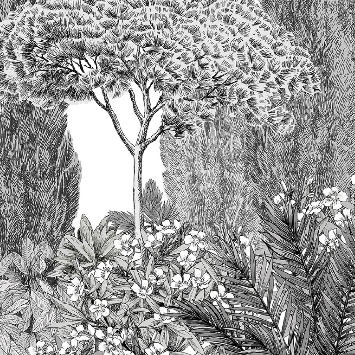 Обои Anastasie | 6243302