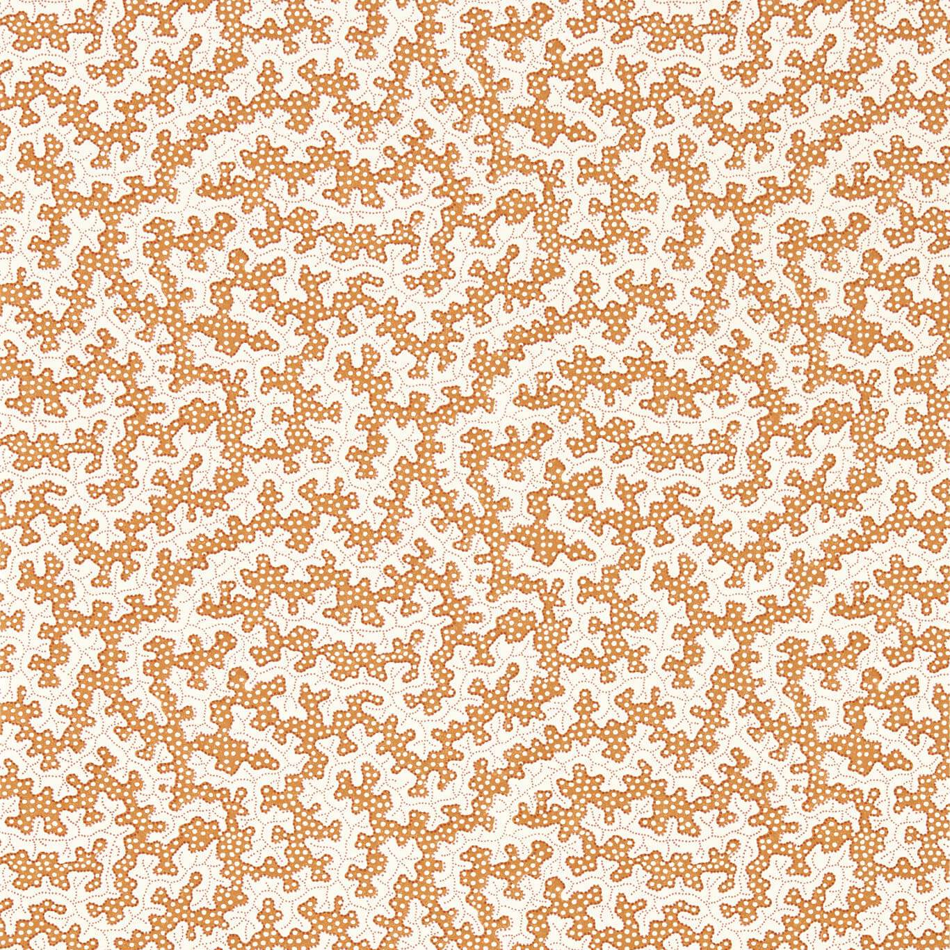 Обои Arboretum | 217242