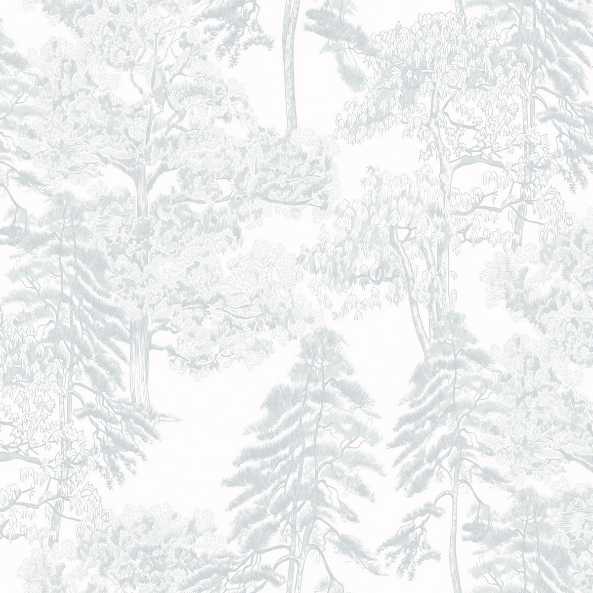 Обои Ambient 4 | Am5001_2