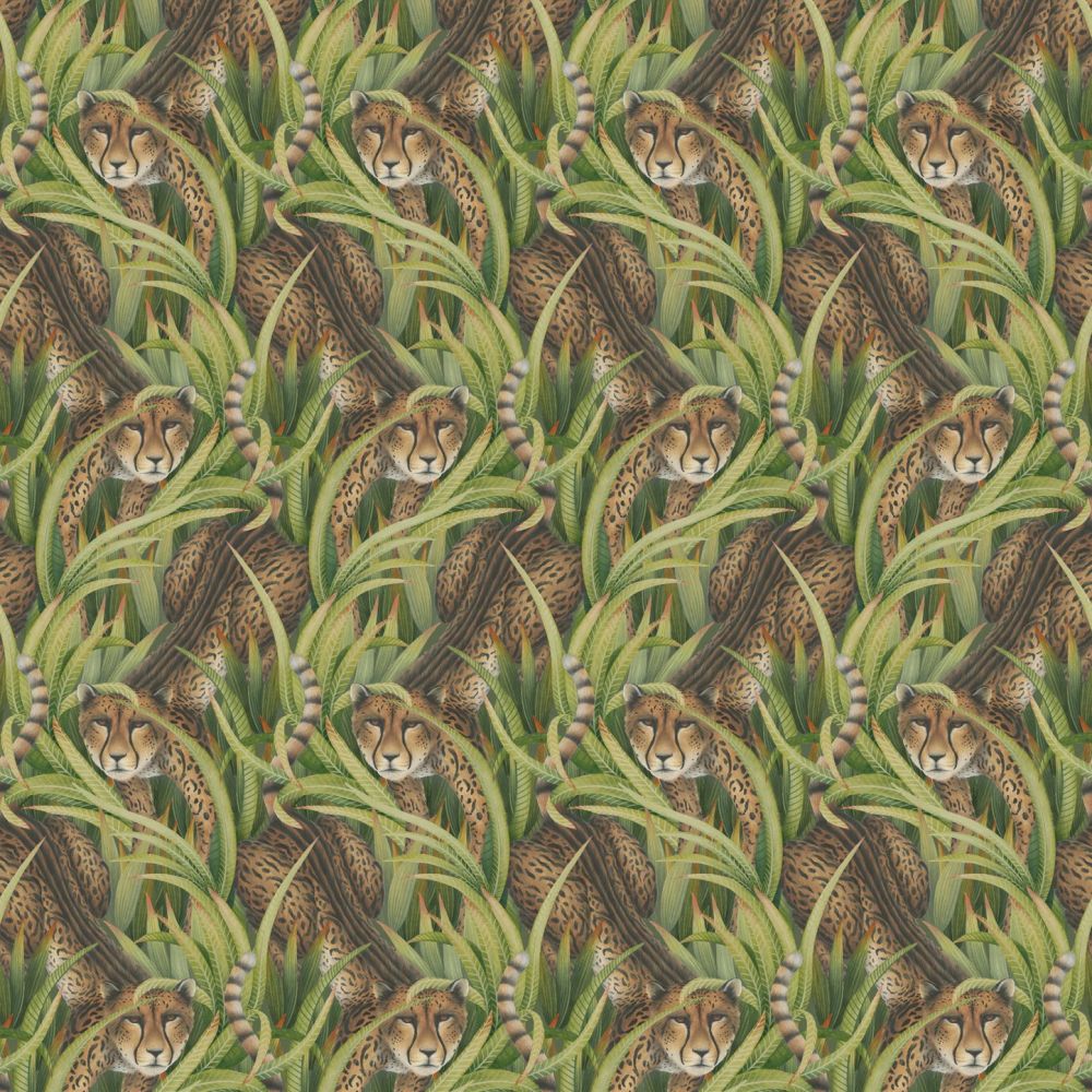 Обои Ardmore – Baobab | 129-8042