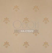 Обои Solomon | KTE10023