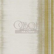 Обои Momentum 4 | 111564