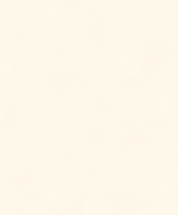 Обои Colorythm | BLONE1006