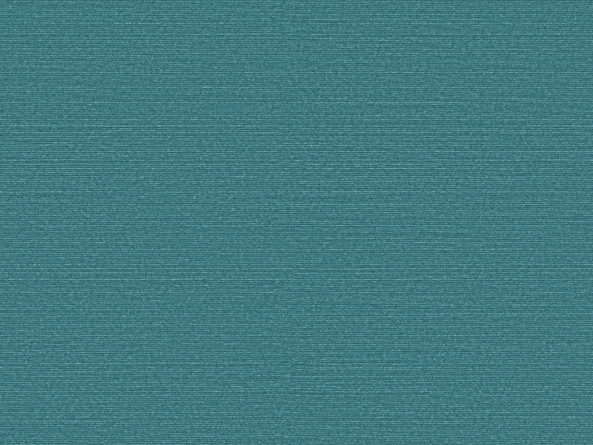 Обои Birds of Paradise | BOP313