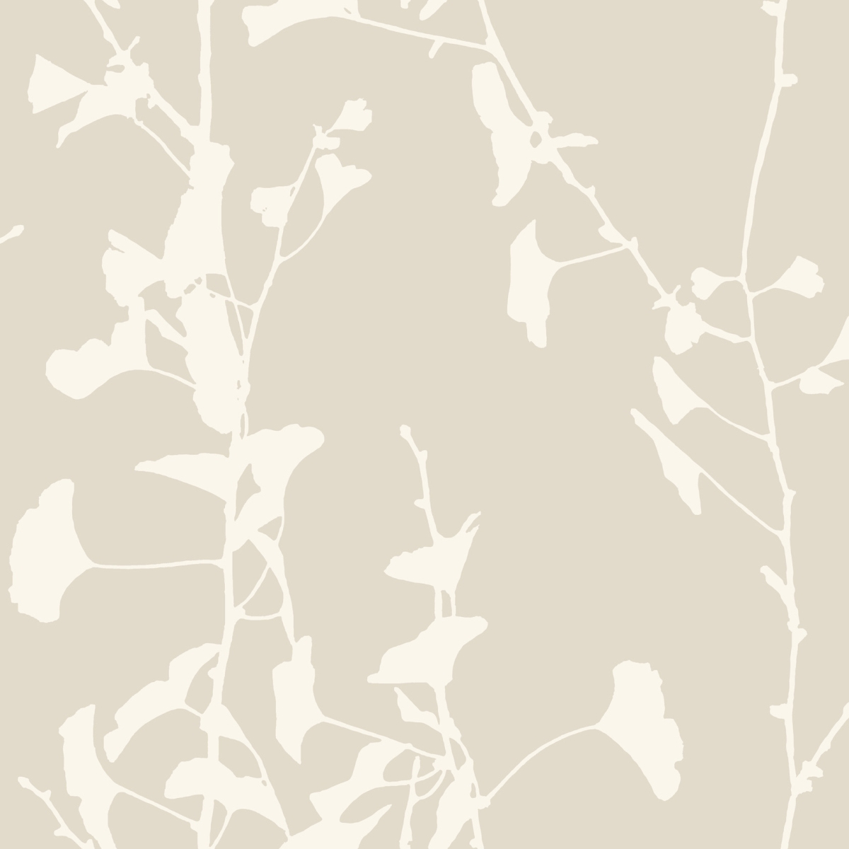 Обои Caviar | VR1507