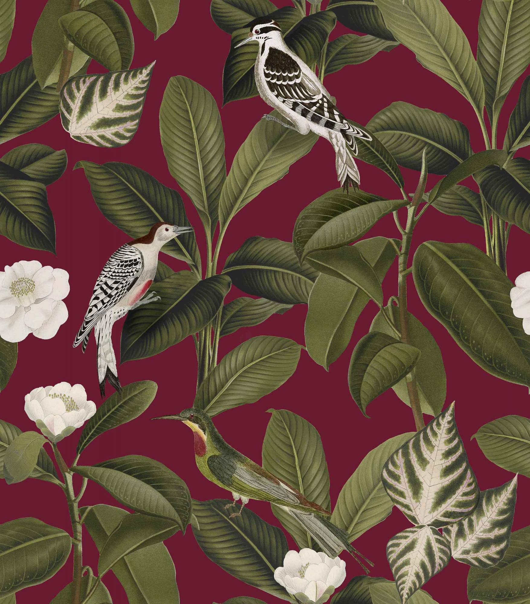 Обои Feria | A00211