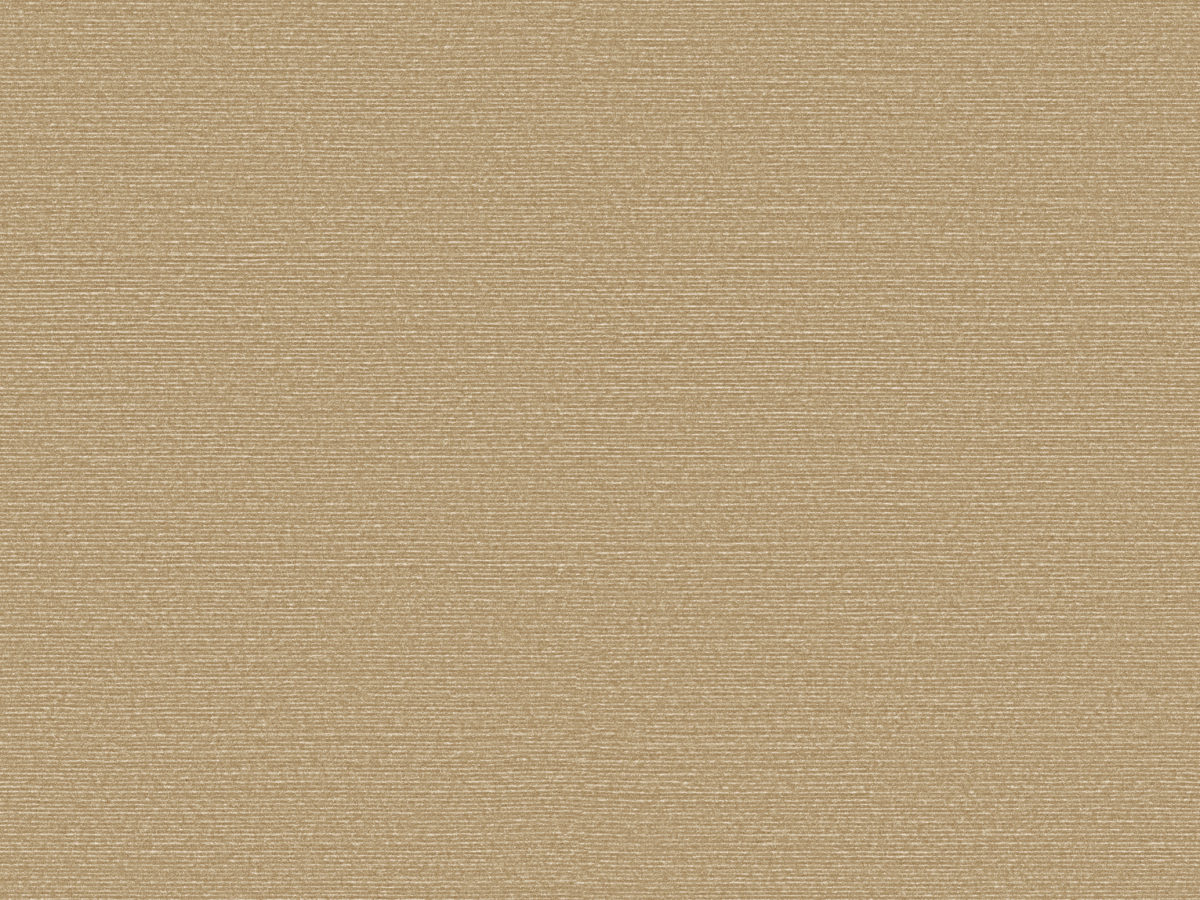 Обои Birds of Paradise | BOP330