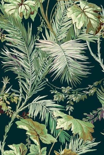 Обои Metamorphosis | 8800004