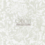 Обои Anthozoa | 111640