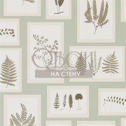 Обои Woodland Walk | 215715