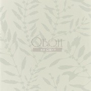 Обои Anthozoa | 111659